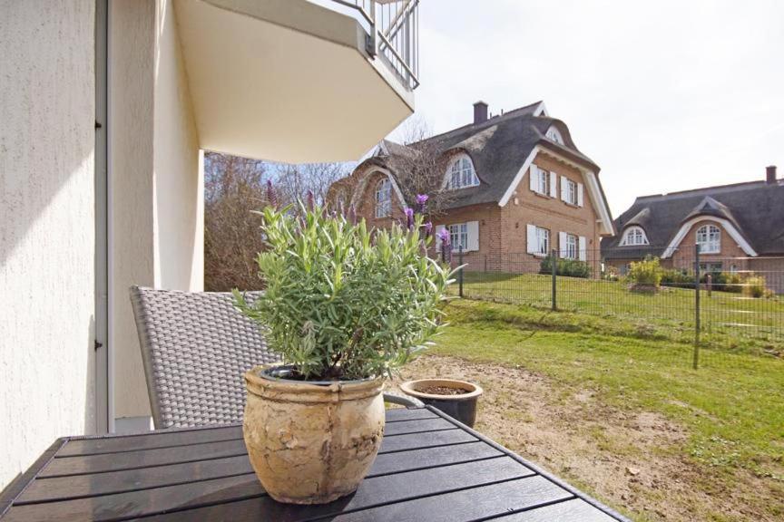 Strandhaus Moenchgut Bed & Breakfast Lobbe 괴렌 외부 사진